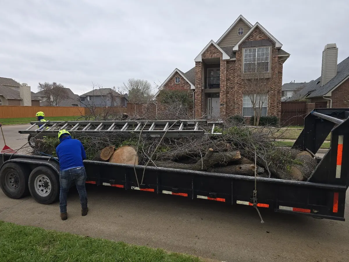 Expert Lot Clearing with proper safety equipment in Albany